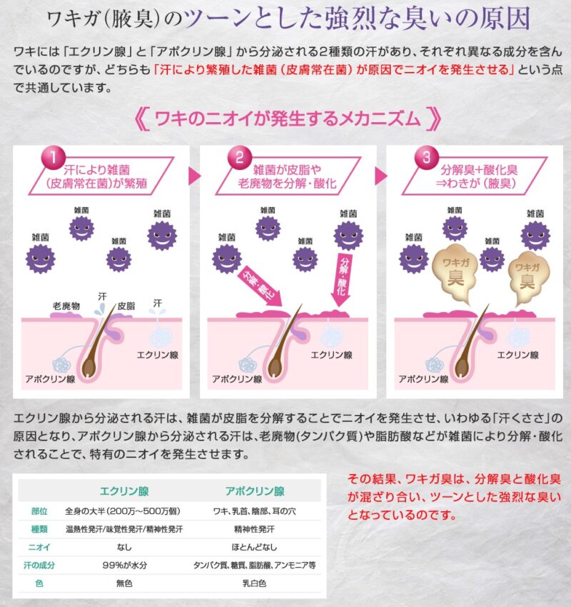 アニセ薬用デオドラントクリーム