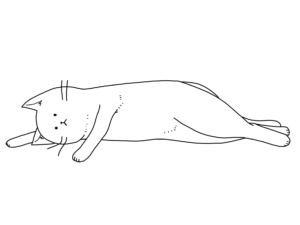 LIFEPOCKET
